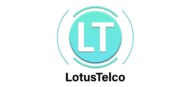 lt logo